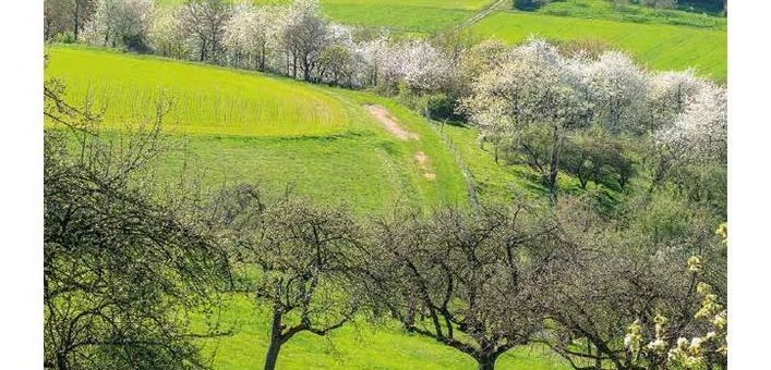 Geo-Naturpark: Bestens vorbereitet für erlebnisreiche Touren in unsere Landschaft