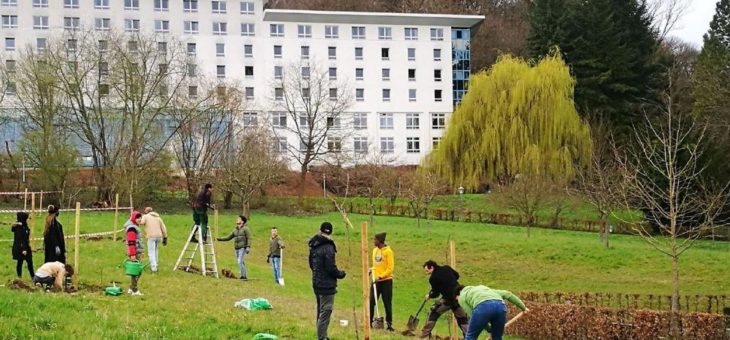 Gemeinsam für eine nachhaltige Zukunft: Zweite Runde von Zukunftswerkstätten im SDG-Projekt