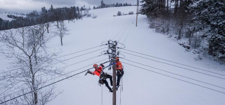 Kuriose Ausfälle – so vielfältig wie das Leben