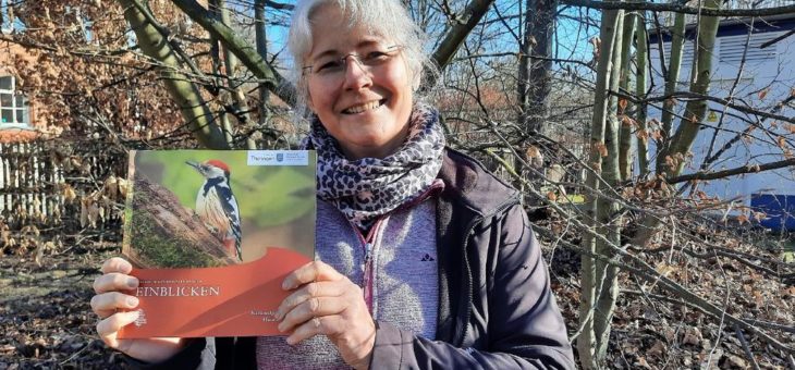 Neue Broschüre zu Spechten vom Nationalpark Hainich veröffentlicht