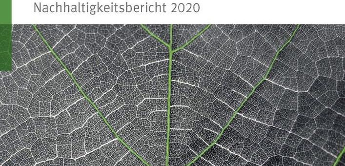 Schaeffler veröffentlicht Nachhaltigkeitsbericht 2020