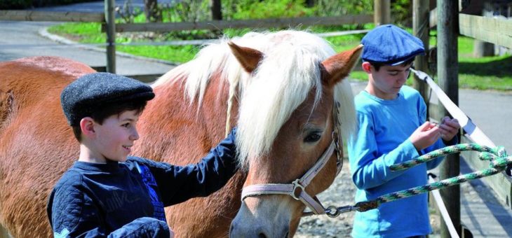 Spiel und Spaß für Kinder in der Natur