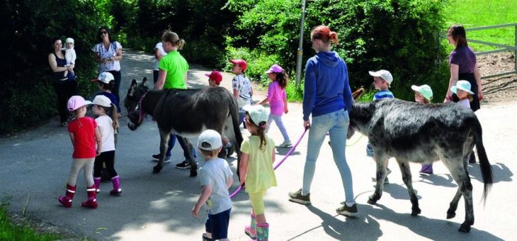 Landluft schnuppern: Bauernhoftage auf dem Freihof-Gelände Bauernhoftage für 4- bis 6-Jährige vom 17. bis 19. Juni 2019 in den Pfingstferien