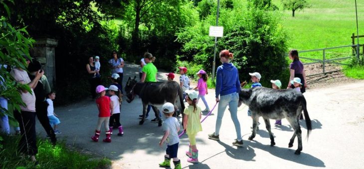 Landluft schnuppern: Bauernhoftage auf dem Freihof-Gelände
