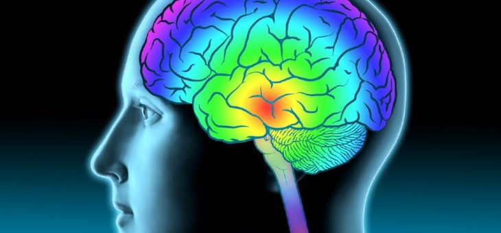 Schlaganfälle intensiver behandeln: Einsatz von Hirn-Kathetern steigt stetig