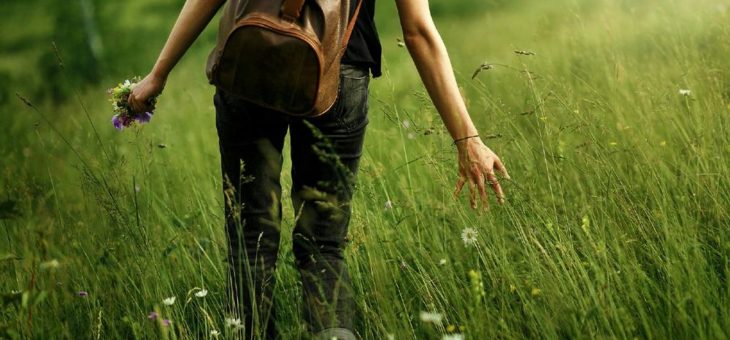 Neues Angebot: Kräuterwanderung für Jung und Alt