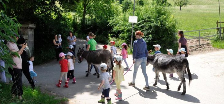 Von Gedächtnistraining, Hochseilgarten, Kräuterwandern bis Rücken-Fit Im Praxis-Zentrum Göppingen (PZG) startet das neue Halb-Jahresprogramm für Jung und Alt