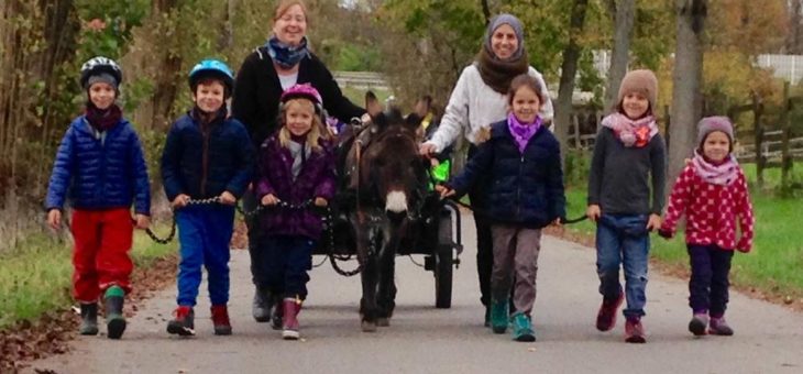 Landluft schnuppern: Bauernhoftage auf dem Freihof-Gelände