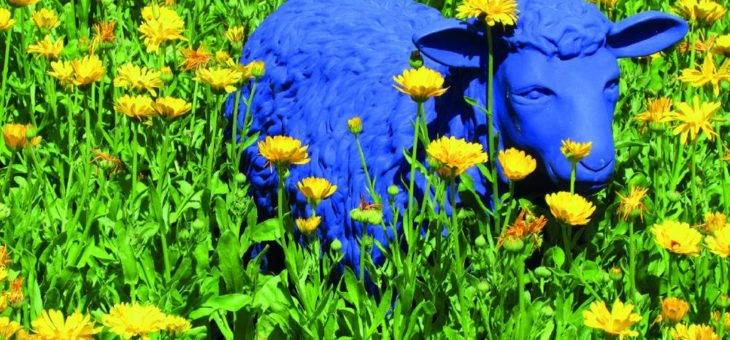 Raus mit Euch: Maßnahmen für eine gesunde Psyche