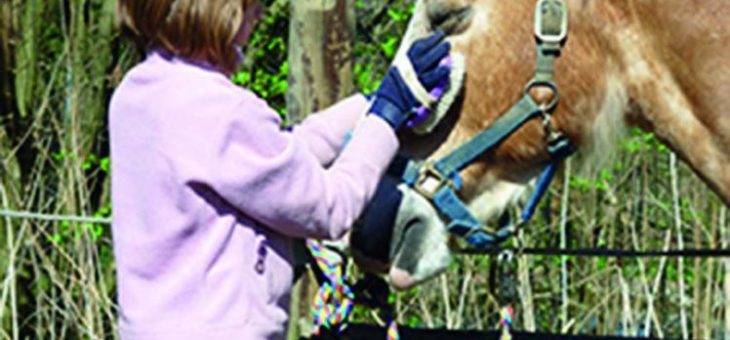 Schnupperangebot: Bauernhoftag auf dem Freihof-Gelände