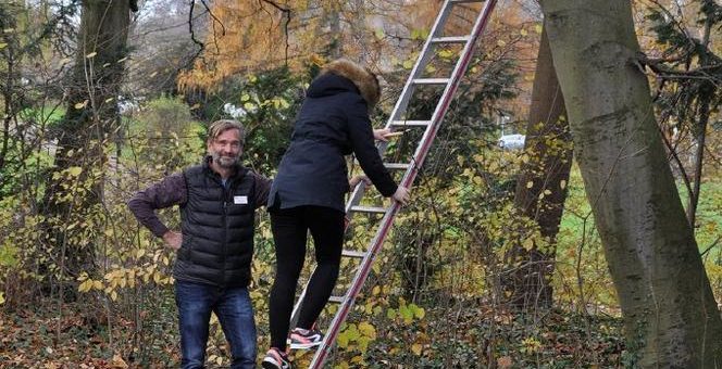 Nistkästen im Christophsbad laden zum Verweilen ein