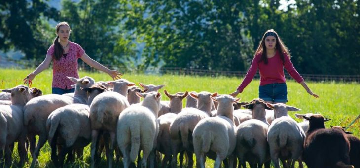 „Tiere bis unters Dach“ – Alles bleibt anders