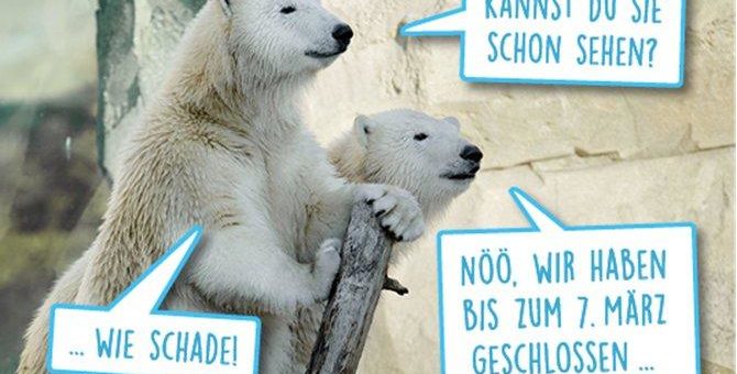 Der Zoo am Meer öffnet wieder am 15. März 2021