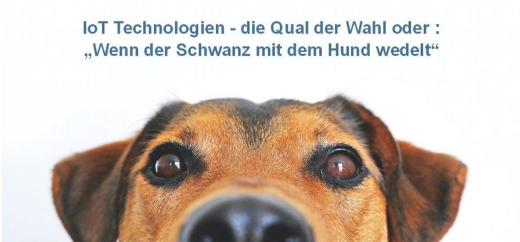 IoT-Technologien – die Qual der Wahl oder: „wag the dog“ – wenn der Schwanz mit  dem Hund wedelt! (Webinar | Online)