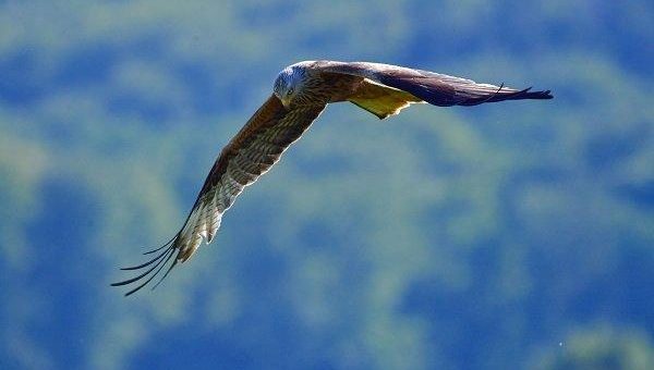 Verwaltungsgericht Aachen stoppt Erweiterung des Windparks Rohr/Reetz