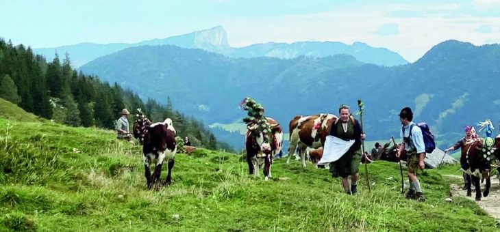 Almabtrieb im Berchtesgadener Land