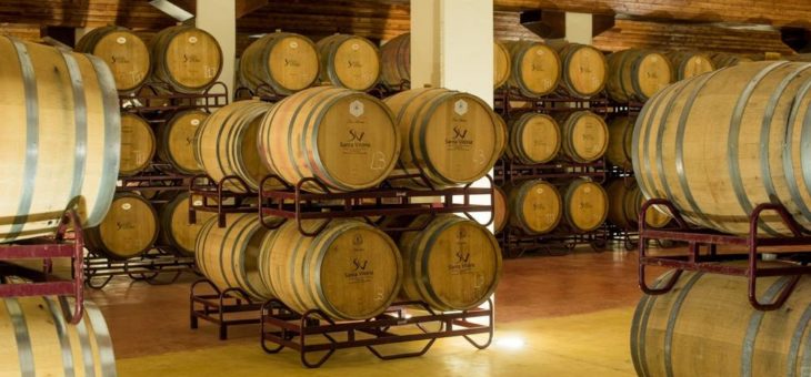Alentejo zum Genießen und Entschleunigen: OLIMAR weckt Reisevorfreude mit Weinen, Olivenöl und Keramik aus Portugal