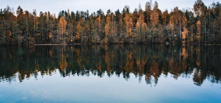 „Wasser wird zum begrenzenden Faktor“