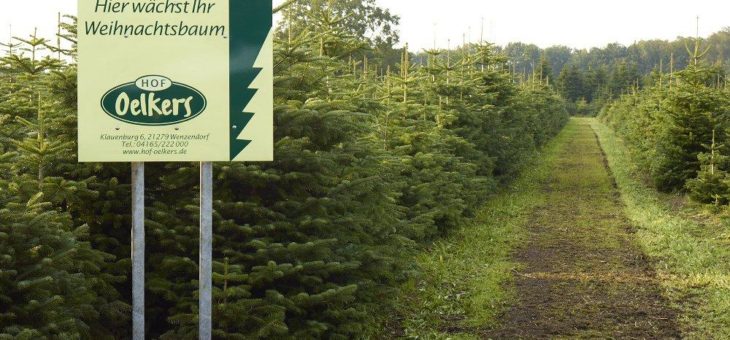 Weihnachten kommt immer schneller als man denkt!