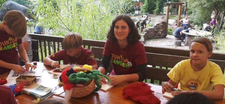 Freiwilliges ökologisches Jahr im Biosphärenreservat Pfälzerwald