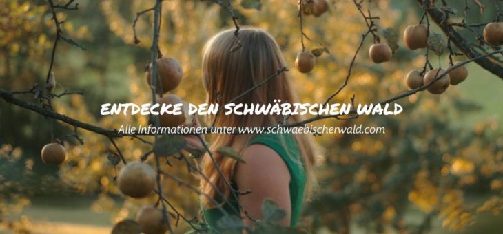 Der Schwäbische Wald – Entdeckungsreise im Vorprogramm