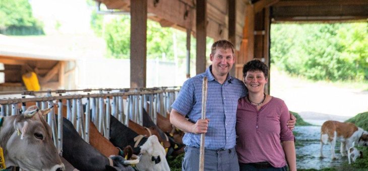 „Die Kuh macht muh“ Woher kommt eigentlich die Milch?