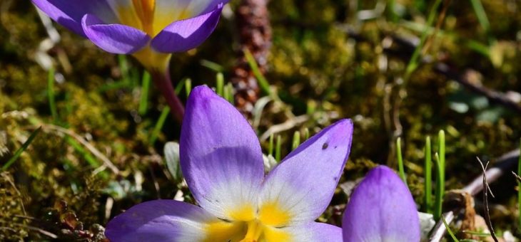 Tierpark Hellabrunn plant Öffnung zu Ostern