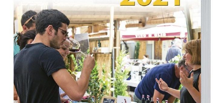 Neue Ausgabe des Praxisratgebers:  „Gruppen-Handbuch 2021“
