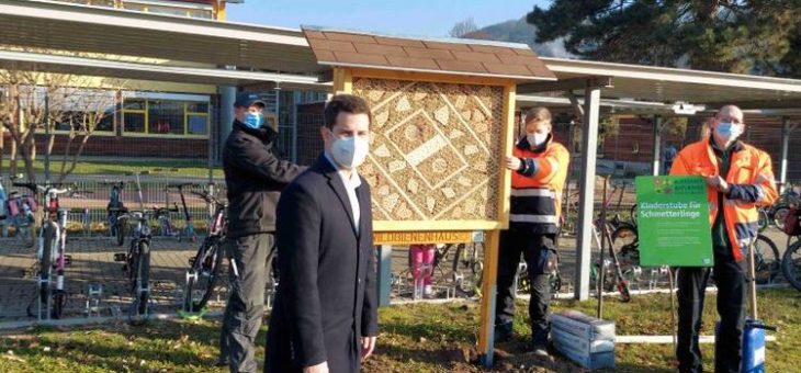 Geo-Naturpark und Gemeinde Laudenbach: Neue Behausungen für Wildbienen aufgestellt