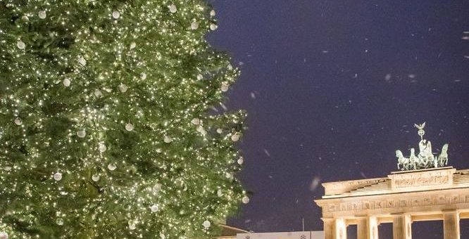Weihnachtsbaum am Brandenburger Tor – Licht an!