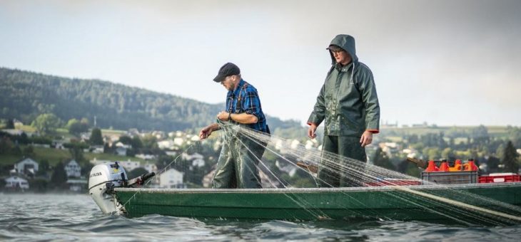 Kulinarische Liebeserklärungen an den See