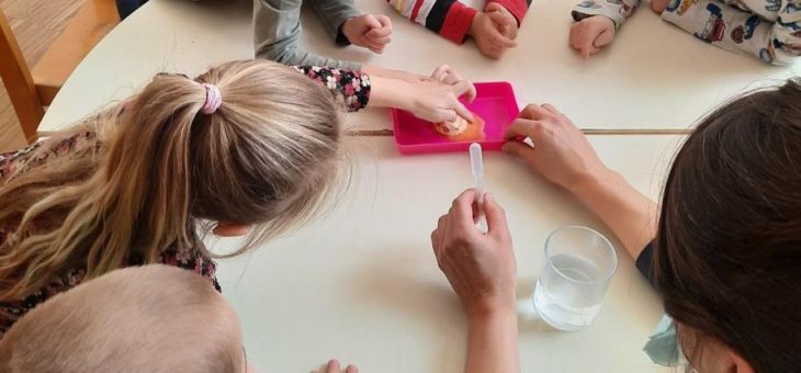 Mit explorhino die Entdeckerfreude früh entfachen