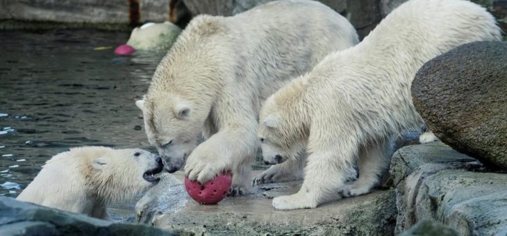 Zooschließung ab dem 1. April 2021