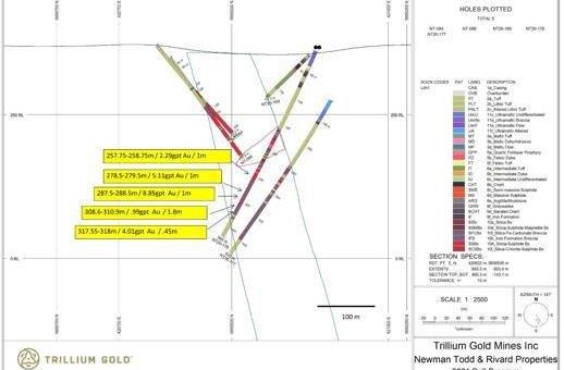 Trillium Gold meldet weitere hochgradige Goldergebnisse aus Newman Todd mit endgültigen Bohrergebnissen für 2020