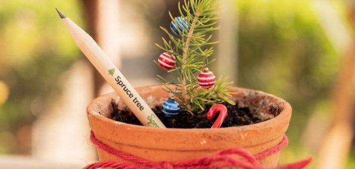 Der Bleistift, der sich in einen (Weihnachts-)Baum verwandeln kann