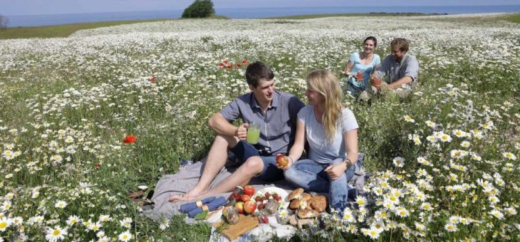 Gourmet-Picknick im Garten