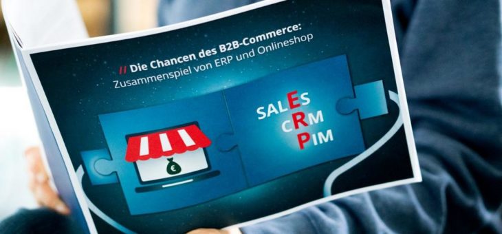 Neues Whitepaper von e.bootis zeigt, wie sich B2B-Webshops nahtlos ans ERP-System anbinden lassen