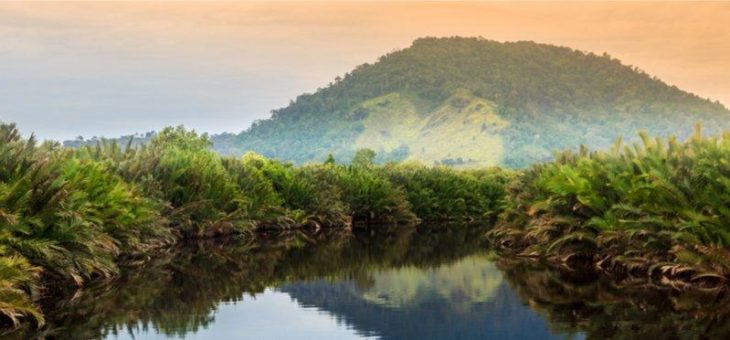 Übermaßtransport nach Borneo mit AsstrA
