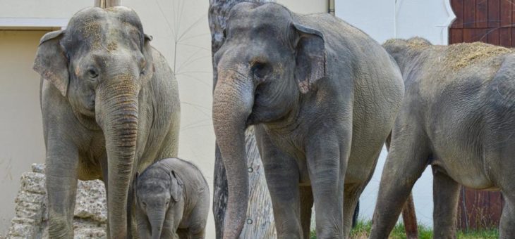 Ottos erster Familienausflug