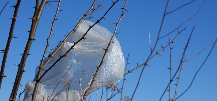 Kompaktes Kompendium zu Kunststoff in der Umwelt erschienen