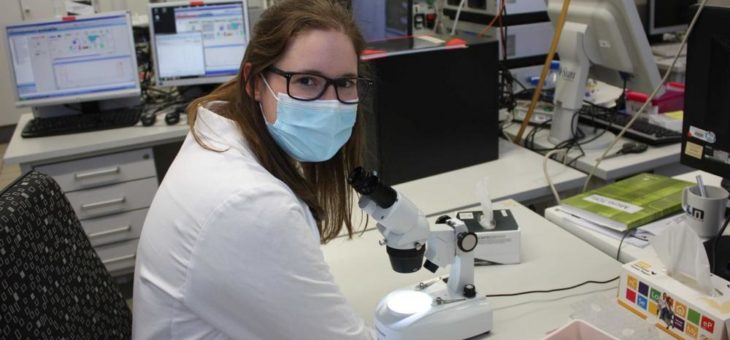 Mit Biopharmazie Pandemien und Krebs bekämpfen