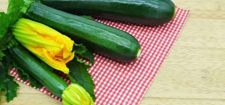 Zucchini-Anbau auch im kleinen Garten oder auf dem Balkon?