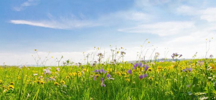 Alles neu macht der Mai – neue praxisnahe Online-Seminare