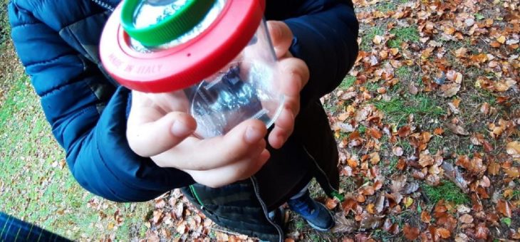 Nachhaltige Entwicklung im Pfälzerwald stärken