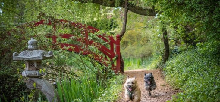Regierung will Schlosspark Dennenohe mit Polizeigewalt schließen