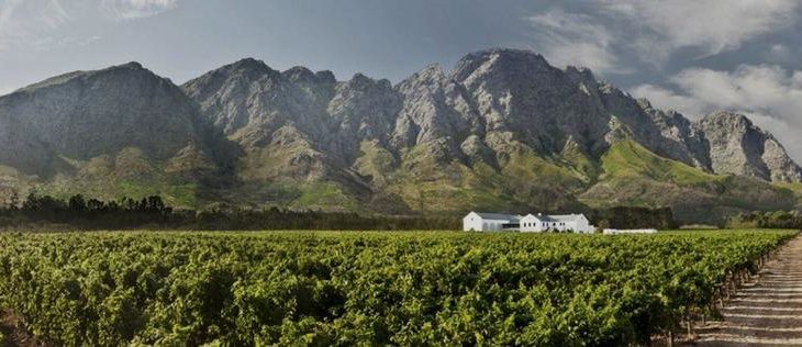 Südafrika Wein Spezialist The WineStore startet neue Domain www.holdenmanz.de speziell für das Spitzenweingut Holden Manz aus Franschhoek.