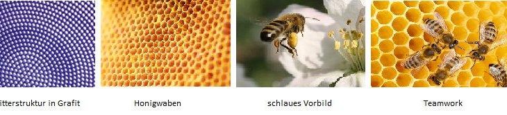 Was uns Bienen über unsere Arbeit lehren