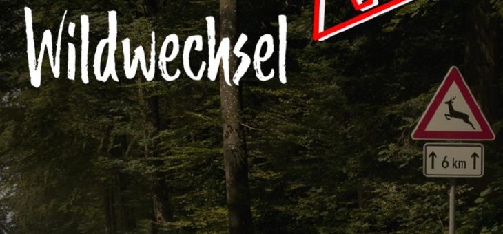 Achtung Wildwechsel!