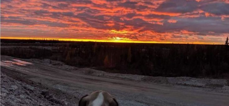 Wochenrückblick KW 16-2021 – Das sieht gut aus! Rohstoffe im Chartcheck!