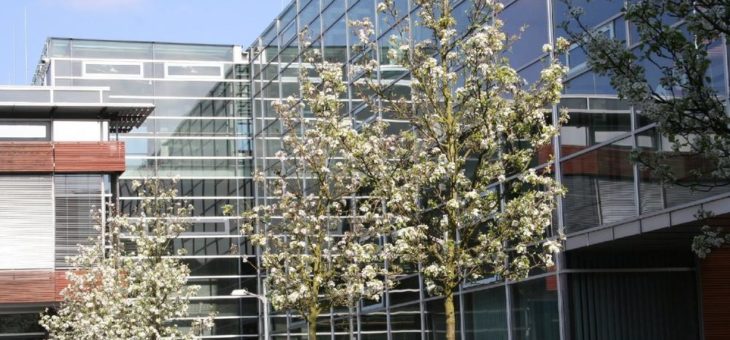 Berufsbegleitendes Masterstudium: Bewerbungsphase für das MBA- Fernstudienprogramm startet am 3. Mai